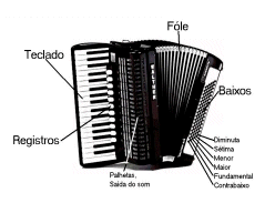 Partes do Acordeon