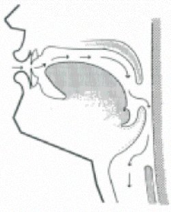 Figura 1