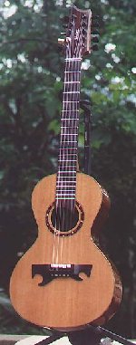 Exemplo de uma viola Caipira