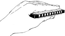 Mão